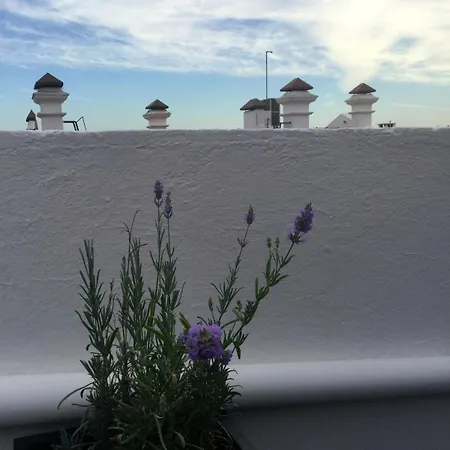 Cosy Estudio In The Heart Of Principe Real Apartment